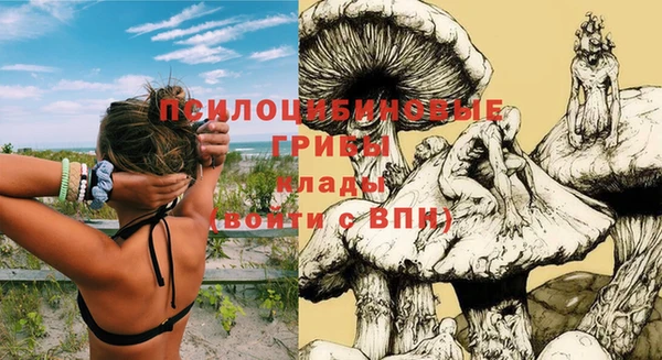 не бодяженный Алзамай