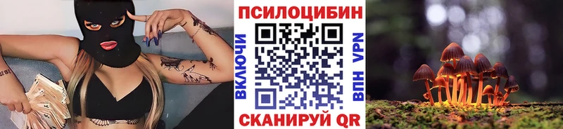 магазин продажи   Рассказово  Псилоцибиновые грибы мицелий 