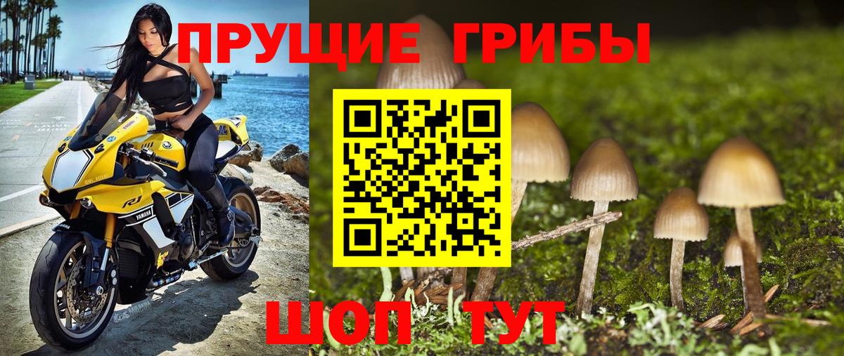 Рассказово  Галлюциногенные грибы Cubensis  Вход с VPN 
